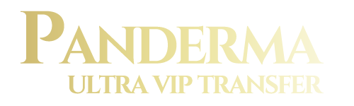 PandermaUltraVip Logo